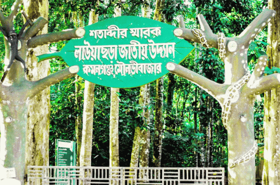 লাউয়াছড়া উদ্যানে প্রবেশ ফি দ্বিগুণ