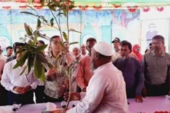 নেত্রকোনার মদন উপজেলায় বৃক্ষ রোপণ কর্মসূচি উদ্বোধন করেন সাংসদ সাজ্জাদুল হাসান এমপি