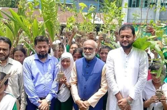পিরোজপুরে শিক্ষার্থীদের মাঝে গাছের চারা বিতরণ