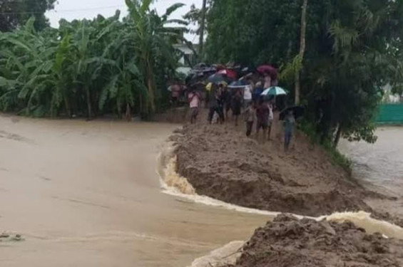 ফেনীর মুহুরি নদীর বেড়িবাঁধ ভেঙে পানিবন্দি হাজার হাজার মানুষ