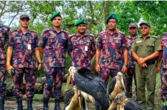 পশ্চিম সুন্দরবনে বিজিবি কর্তৃক বিরল প্রজাতির মদনটাক পাখি অবমুক্তকরণ