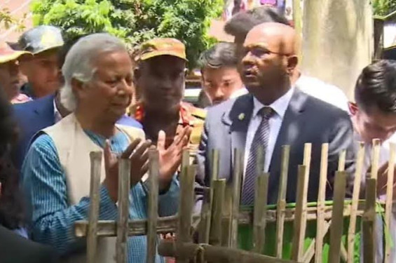 আবু সাঈদের কবর জিয়ারত করলেন ড. ইউনূস
