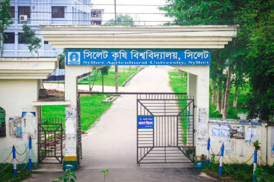 সিলেট কৃষি বিশ্ববিদ্যালয়ে রাজনীতি নিষিদ্ধ