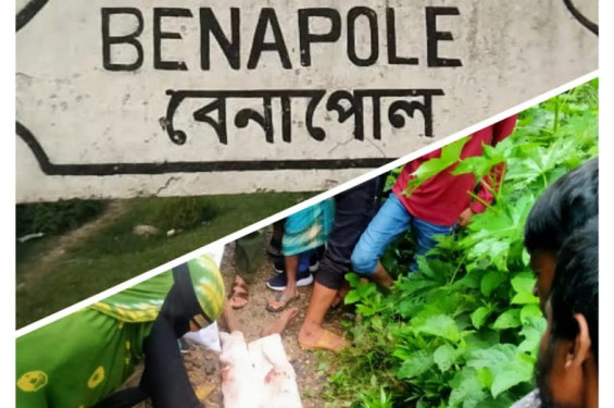 বেনাপোল  ট্রেনে কাটা পড়ে বৃদ্বা নিহত