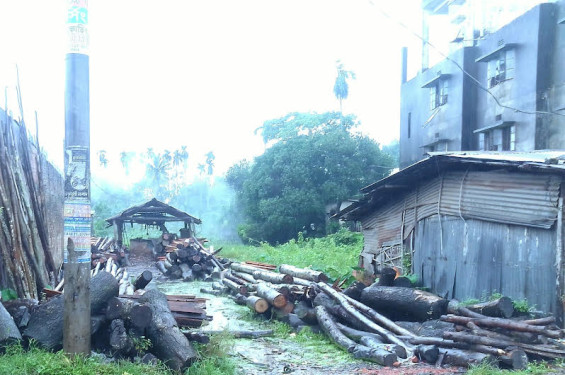 বাঁশখালীতে জবরদখলকৃত জায়গা ফিরে পেতে প্রবাসীর আকুতি
