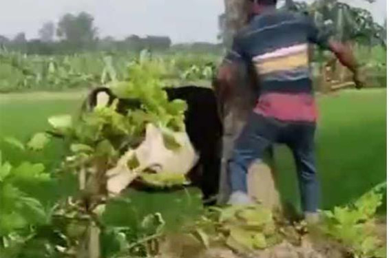 ঝিনাইদহে বিএনপি’র ৪৬তম প্রতিষ্ঠা বার্ষিকী পালিত