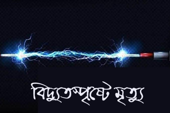 নাসিরনগরে বিদ্যুৎস্পৃষ্টে এক ব্যাক্তির মৃত্যু