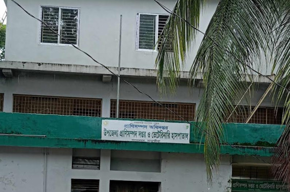 এক যুগের অধিককাল সময়ে শ্যামনগর প্রাণি সম্পদ অফিসে কয়েকটি কর্মকর্তা কর্মচারীর পদ খালী