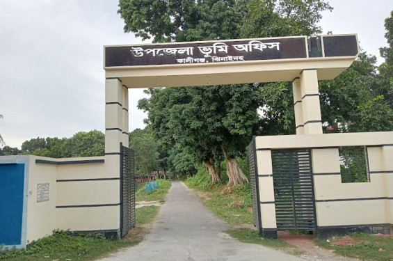 সেবার স্বচ্ছতা, জবাবদিহীতা ও দ্রুততায় খুলনা বিভাগের শীর্ষে ঝিনাইদহের কালীগঞ্জ ভূমি অফিস