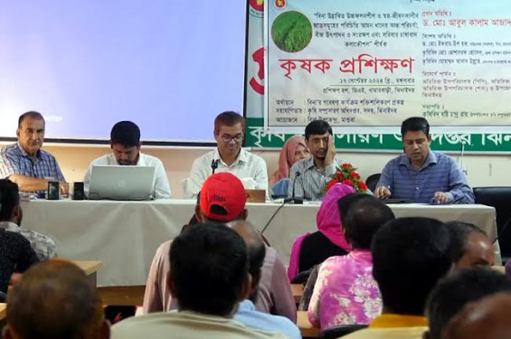 ঝিনাইদহে আমন ধান ও সরিষা চাষাবাদ কলাকৌশল শীর্ষক কৃষক প্রশিক্ষণ