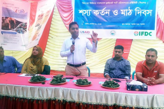 নড়াইলে উন্নত জাতের করলার মাঠ দিবস অনুষ্ঠিত
