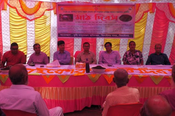 ঝিনাইদহে ট্রাইকো কম্পোস্ট সার উৎপাদনে মাঠ দিবস অনুষ্ঠিত