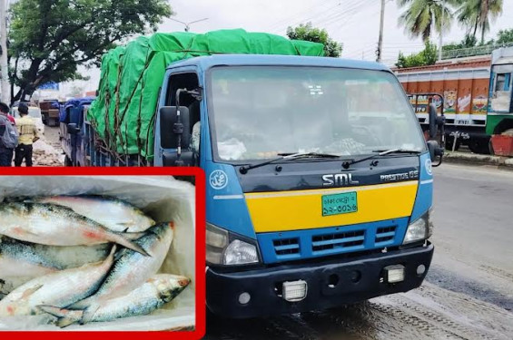 বেনাপোল বন্দর দিয়ে ভারতে গেল ৮ টন ইলিশের প্রথম চালান