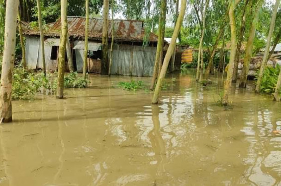 কাউনিয়ায় তিস্তার পানি বিপদসীমার ওপর দিয়ে প্রবাহিত হওয়ায় মানুষের ঘরবাড়ীতে পানি