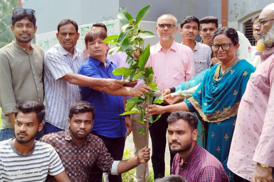নড়াইলের লোহাগড়ায় মাসব্যাপী বৃক্ষরোপন কর্মসূচীর উদ্বোধন