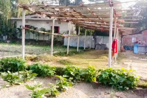 বাঁশখালীতে মামলা ও নিষেধাজ্ঞার পরও রাতের আঁধারে ঘর নির্মাণ