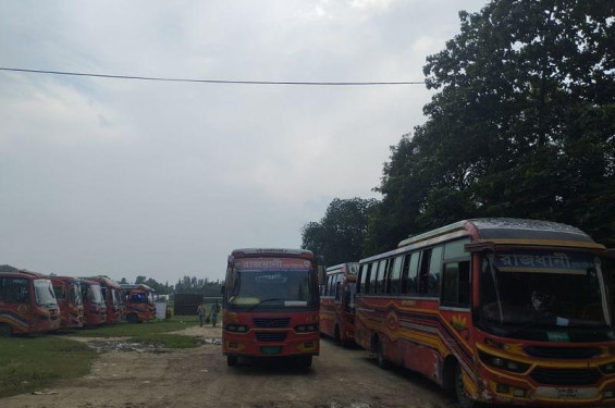 জাবি শিক্ষার্থীকে মারধর ও হেনস্তা, রাজধানী পরিবহনের ২৪টি বাস আটক