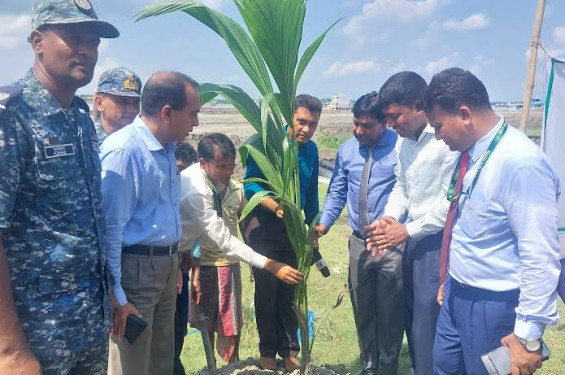 মোংলায় বৃক্ষ রোপন কর্মসুচি পালন করেছে পুবালী ব্যাংক