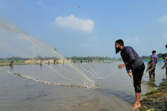 বুড়ির বাঁধে মাছ শিকার উৎসবে মেতেছে  ঠাকুরগাঁওবাসী