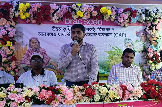 ঝিনাইদহে উত্তম কৃষি চর্চায় টেকসই নিরাপদ ও মানসম্মত খাদ্য উৎপাদন বিষয়ক কর্মশালা অনুষ্ঠিত