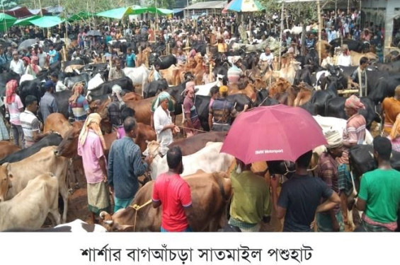 বাগআঁচড়ায় শেষ মুহূর্তে সাতমাইল পশুহাটে জমজমাট বেচাকেনা