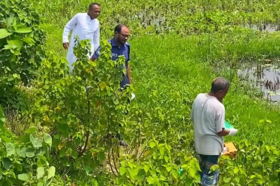 সড়কের পাশে ধান ক্ষেতে কার্টন বন্দী অবস্থায় ১ দিন বয়সী নবজাতকের মরদেহ উদ্ধার