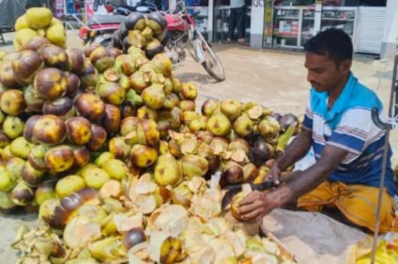 বেনাপোল-শার্শা: চাহিদা বাড়ছে তালশাঁসের