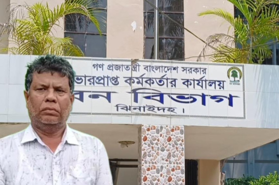 বন বিভাগের টিপি পাশের নামে চলছে রমরমা চাঁদাবাজি