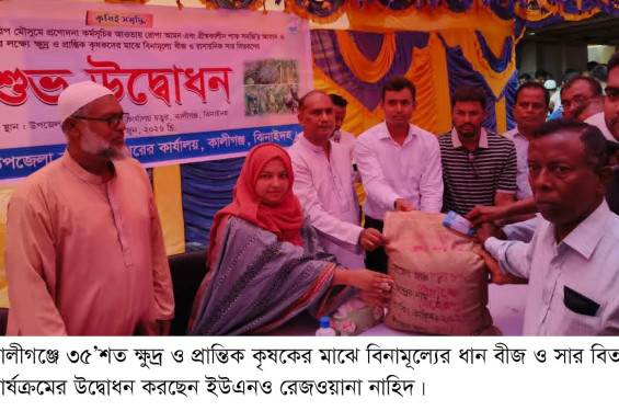 কালীগঞ্জে ৩ হাজার ৫'শত কৃষকদের মাঝে বিনামূল্যের ধান বীজ ও সার বিতরণ