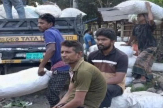 শার্শা উপজেলায় কচুর হাটে বদলাচ্ছে কৃষকের ভাগ্য