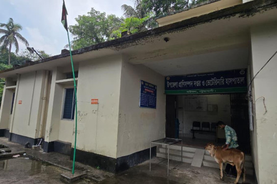 প্রাণিসম্পদ হাসপাতাল: সেবার নামে হয়রানি, জাতীয় পতাকার অবমাননা