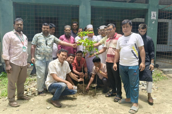 কালীগঞ্জে শিক্ষা প্রতিষ্ঠানসমূহে গাছের চারা রোপণ করল আত্ম উন্নয়ন সমাজ কল্যাণ সংস্থা
