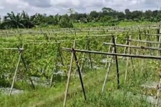 খাগড়াছড়িতে পাহাড়ি ঢলে সৃষ্ট বন্যায় ৭ হাজার ৩৪৪ জন কৃষক ক্ষতিগ্রস্ত