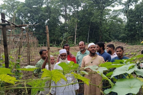 বাউফলে পয়োনিষ্কাশন ব্যবস্থার উন্নয়নে ৬০টি পাইপ বিতরণ করলেন ড. মাসুদ এমপি