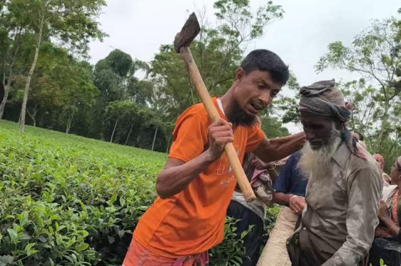 পঞ্চগড়ে মসজিদের মাইকে ঘোষণা দিয়ে চা-বাগান দখলের চেষ্টার অভিযোগ