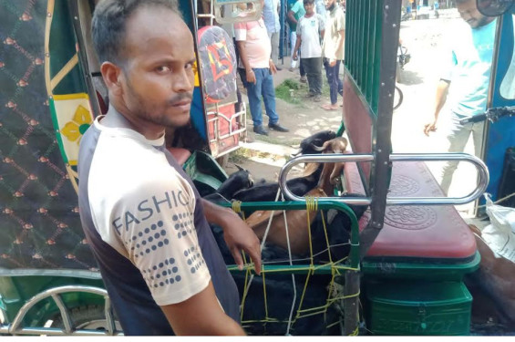 মৃত ছাগল জবাইয়ের সময় জনতার হাতে ব্যবসায়ী আটক, ভ্রাম্যমাণ আদালতে জরিমানা