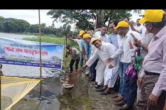 জাতীয় মৎস্য পক্ষ উপলক্ষে নোয়াখালীতে র্যালি ও আলোচনা সভা অনুষ্ঠিত