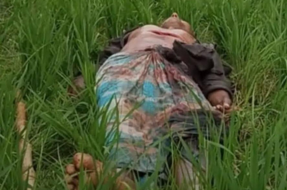 চাচাতো ভাইয়ের ছুরিকাঘাতে কৃষক নিহত