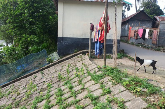 পঞ্চগড়ে নদীর রক্ষাবাঁধ দখল করে প্রভাবশালীদের বহুতল ভবনসহ স্থাপনা নির্মাণ