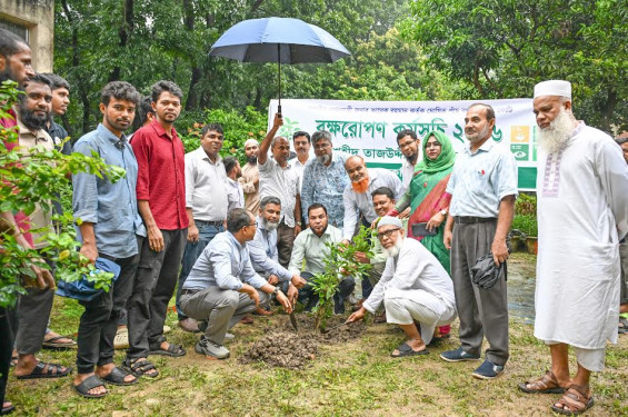 গাকৃবির আবাসিক হলগুলোতে বৃক্ষরোপণ কর্মসূচি