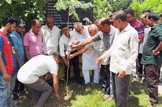 ঝিনাইদহে ৩ কিলোমিটার সড়কজুড়ে বৃক্ষরোপণ কর্মসূচি