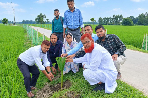 দিনাজপুরে বজ্রপাত নিরোধে তালগাছের চারা রোপণ করেছে স্কয়ার ফার্মাসিউটিক্যালস পিএলসি ক্রপ কেয়ার ডিভিশন