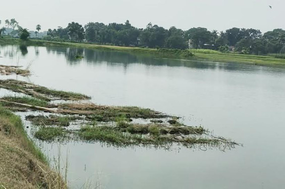 যশোরের শার্শায় ৩৫ বিঘার মাছের ঘের নিয়ে বিরোধ: প্রাণভয়ে বাড়িছাড়া ব্যবসায়ী