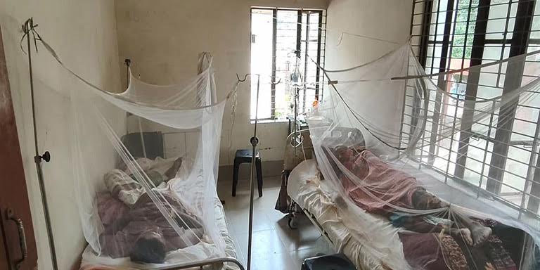 যশোরের শার্শায় এক সপ্তাহে শিশুসহ ২২ জন ডেঙ্গু আক্রান্ত