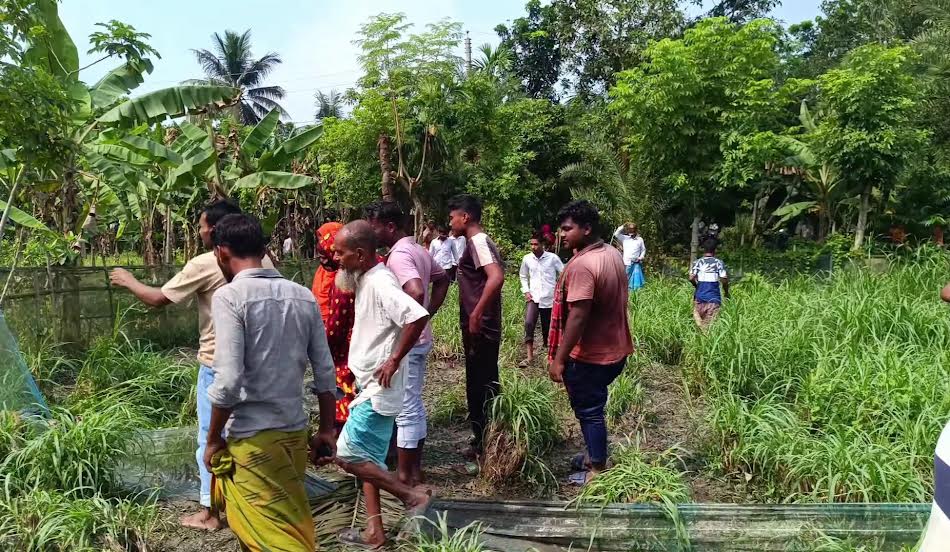 বিদ্যুতের তার চুরি করতে গিয়ে বিদ্যুৎস্পৃষ্টে মৃত্যু