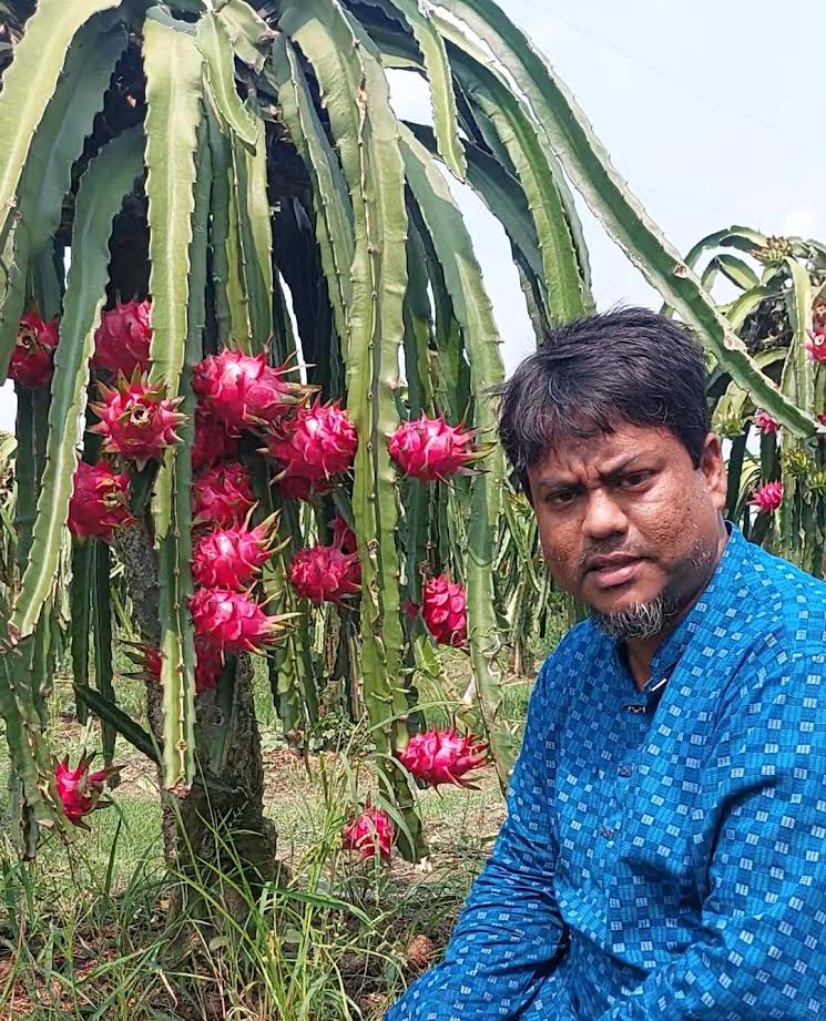 ছয় ভাইরাভাইয়ের ছয় বিঘার ফলবাগান