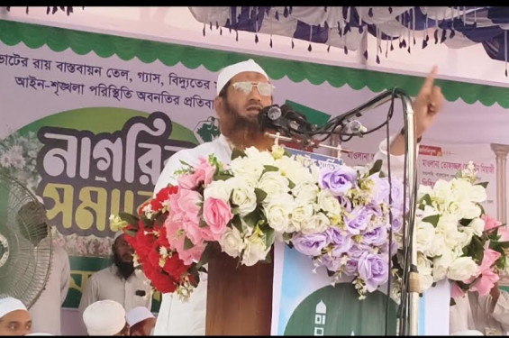 গণভোটের রায় বাস্তবায়ন না করায় বিএনপি সরকারের সমালোচনায়ে মামুনুল হক
