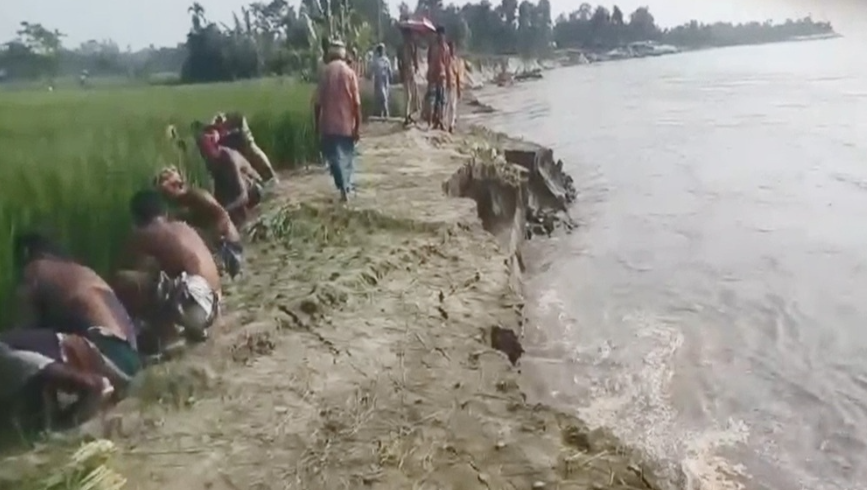 কুড়িগ্রামের রৌমারীতে ব্রহ্মপুত্রের তীব্র ভাঙনে নদীগর্ভে ভিটেমাটি
