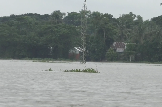 লোহালিয়ার বেরিবাঁধ ভেঙ্গে ১০ গ্রাম প্লাবিত,পানিবন্দী কয়েক হাজার মানুষ