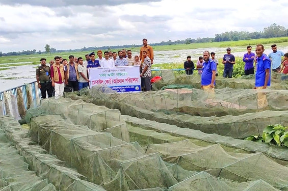 ঠাকুরগাঁওয়ে ৪ লক্ষ টাকার অবৈধ জাল জব্দ করে ধ্বংস করল প্রশাসন